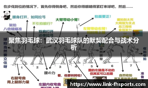 聚焦羽毛球：武汉羽毛球队的默契配合与战术分析